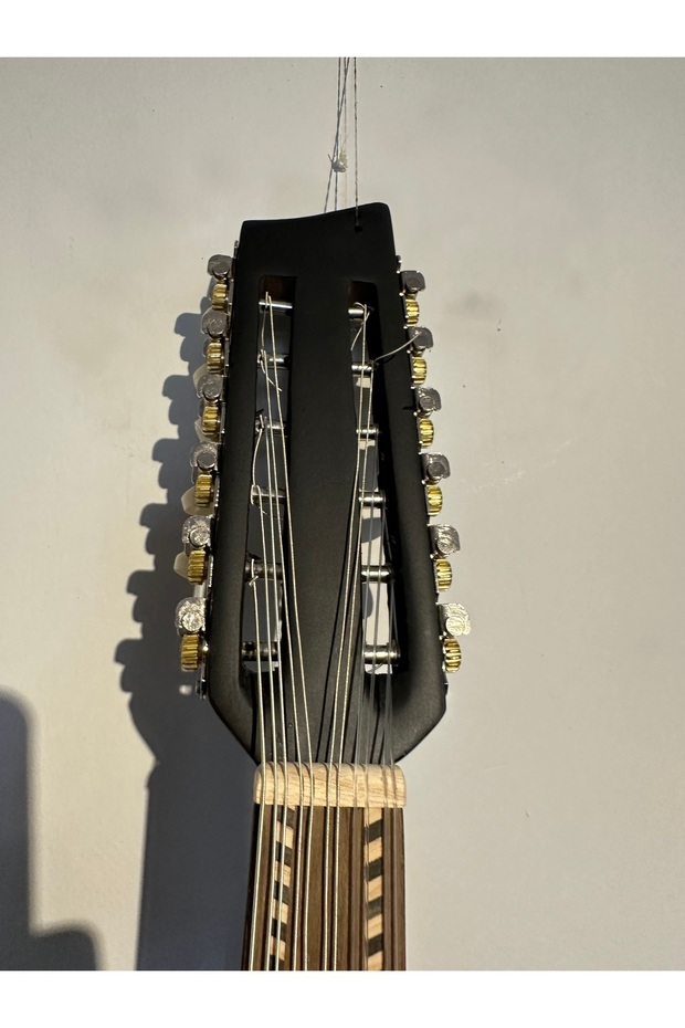 Elektro Ud Siyah - 6