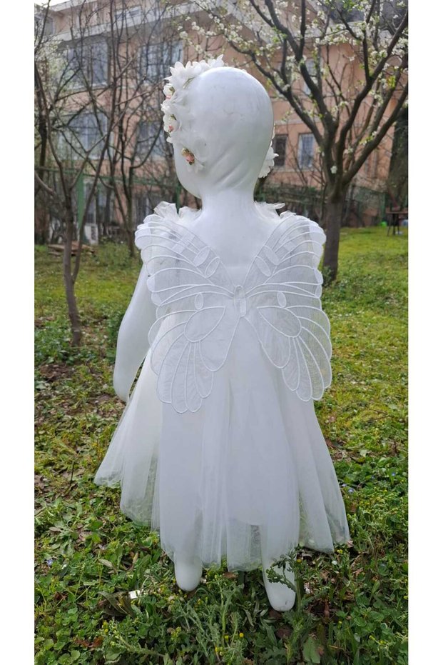 Girl Child Baby Girl Birthday Special Day Eid Winged Dress