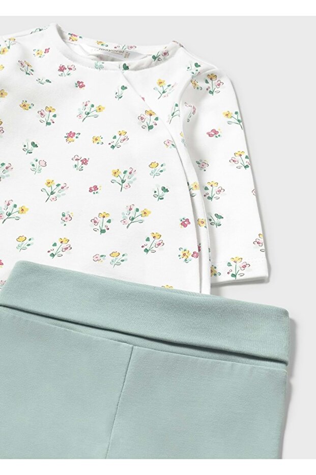 غطاء الغبار الأخضر - 4