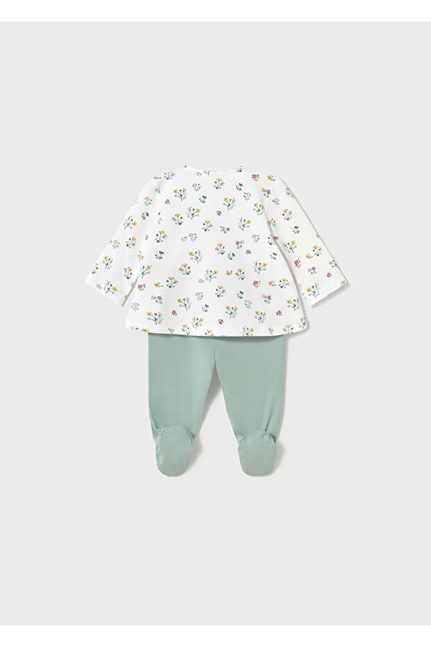 غطاء الغبار الأخضر - 3