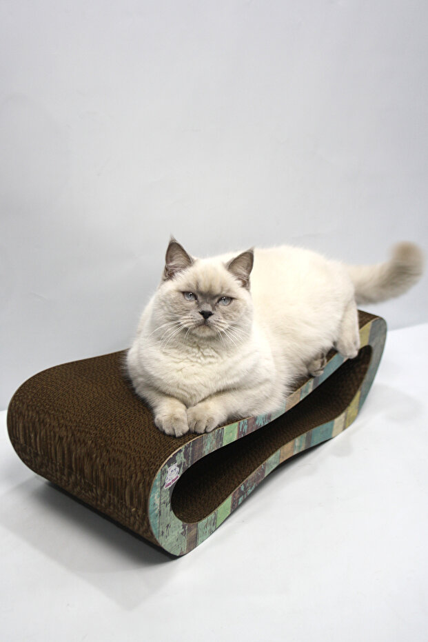 Cat Scratching Sofa – Cardboard Scratching – Horizontal Scratching - Medium (51X24X17 cm) - Colorful Pattern