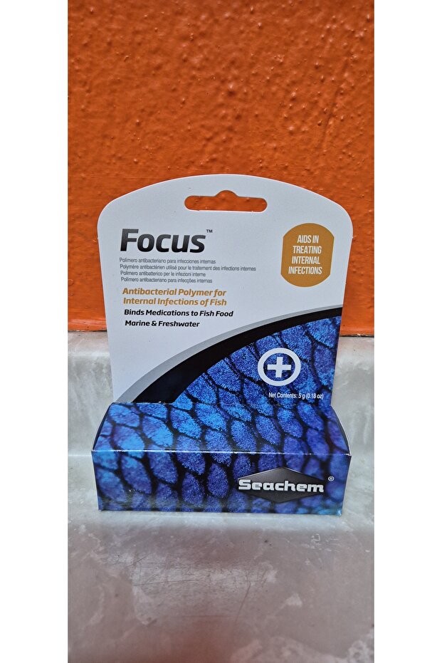 Focus 5GR - 1