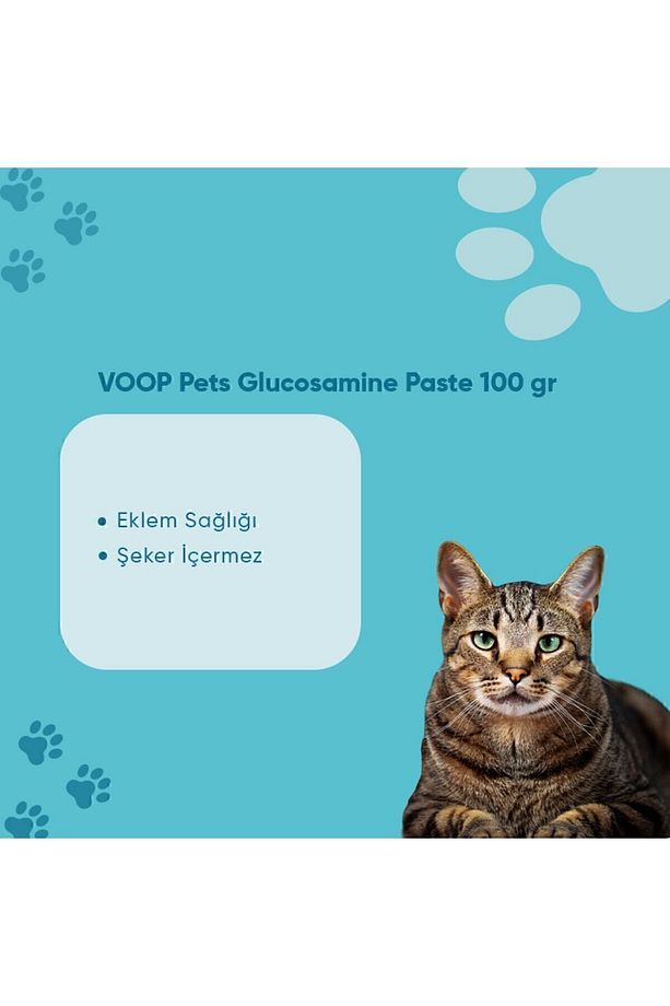Pet Glucosamine Paste Kedi Eklem Ve Kas Desteği | 100 gr - 3