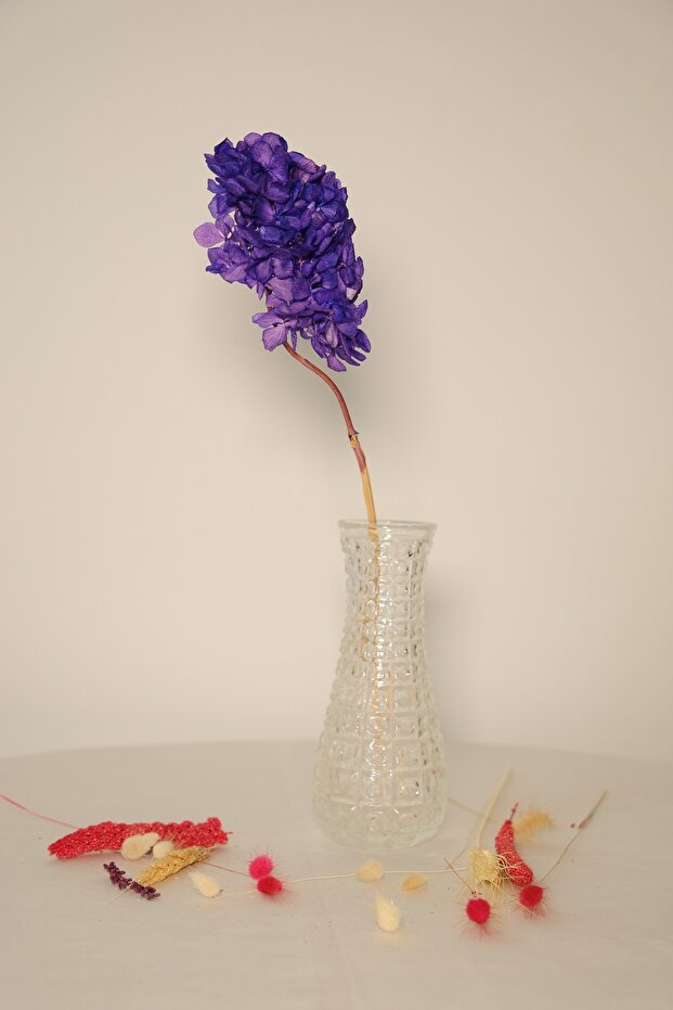 الكوبية المصدومة - 2