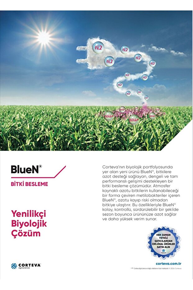 SYMBORG BLUEN - 2