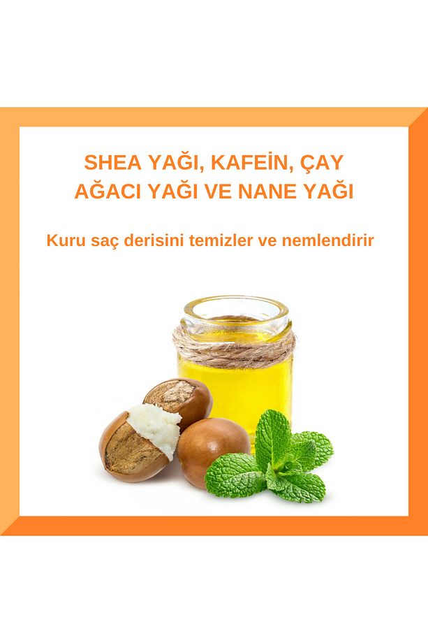 Erkeklere Özel Üçü Bir Arada Saç Şampuanı 400ml ( Şampuan+saç Kremi+duş Jeli) - 3