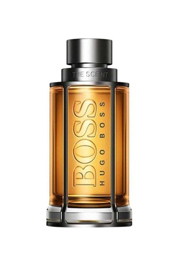 The Scent Edt 50Ml - ذا سينت EDT 50ملليلتر