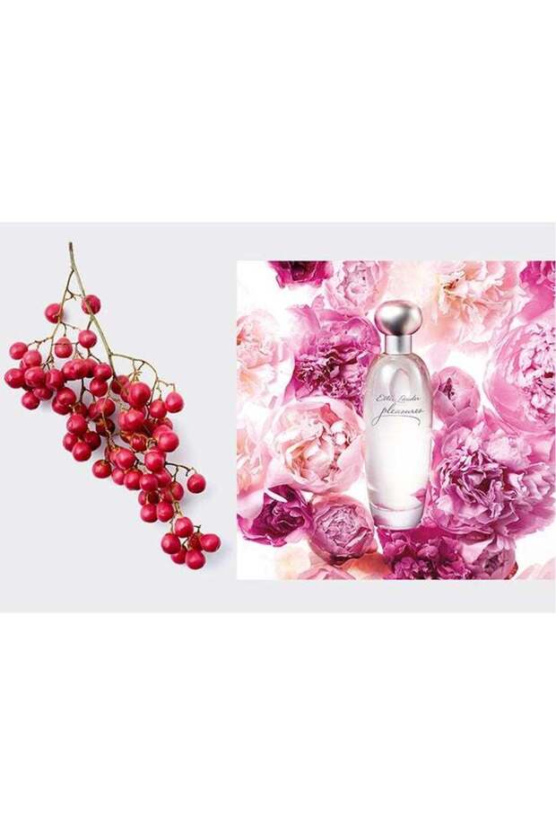 Pleasures Edp 100Ml - ماء عطر بليجرز 100ملليلتر - 6