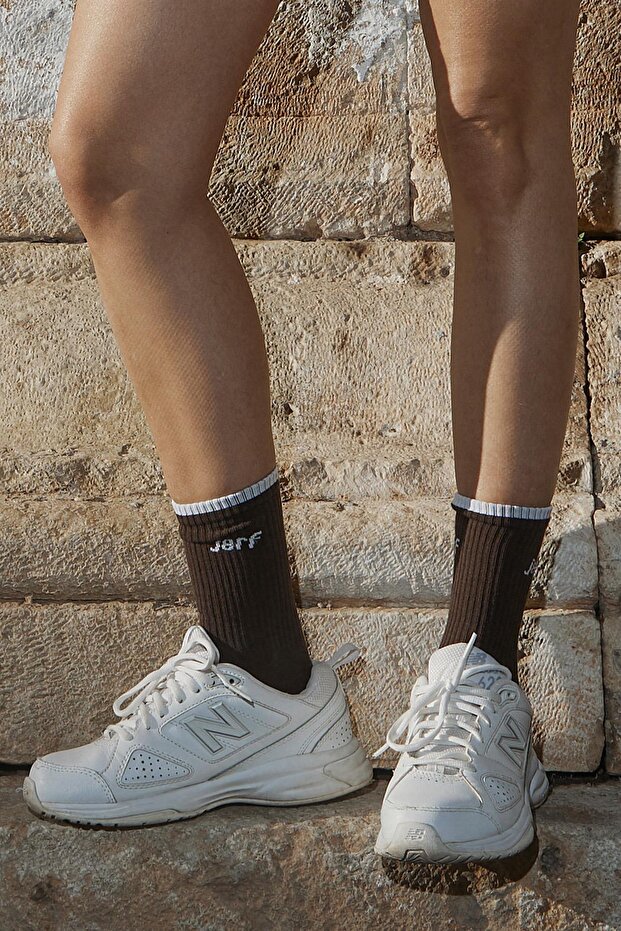 القراصنة البني النقي الوئام - 1