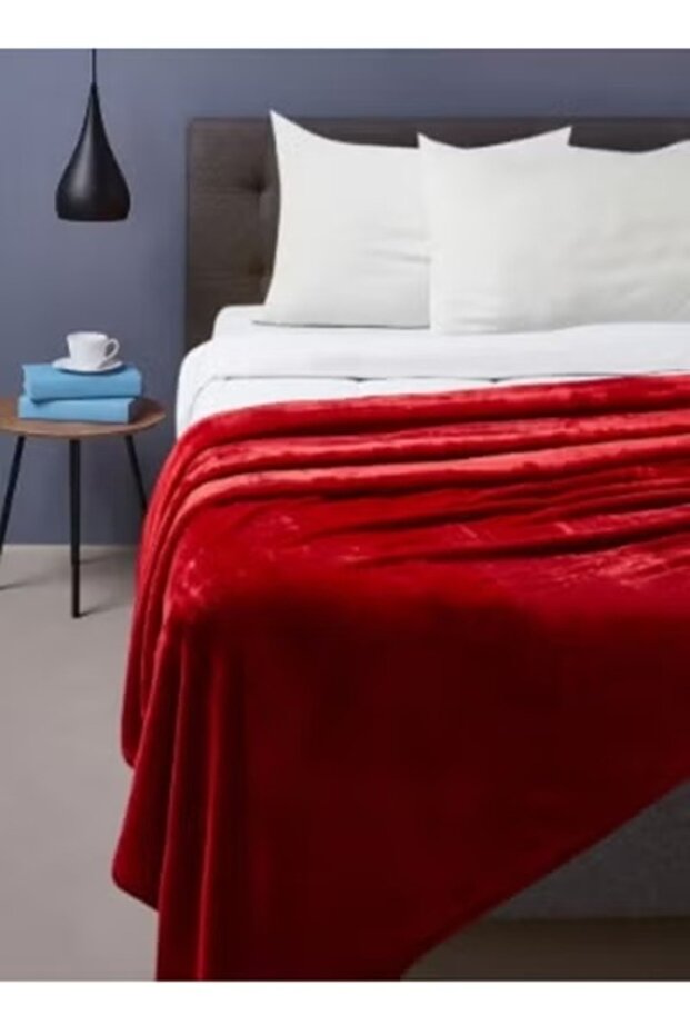 بطانية شتوية خفيفة وناعمة ودافئة بملمس حريري مريح، بطانية سرير مزدوجة 220×240 سم، 2 كجم - 6