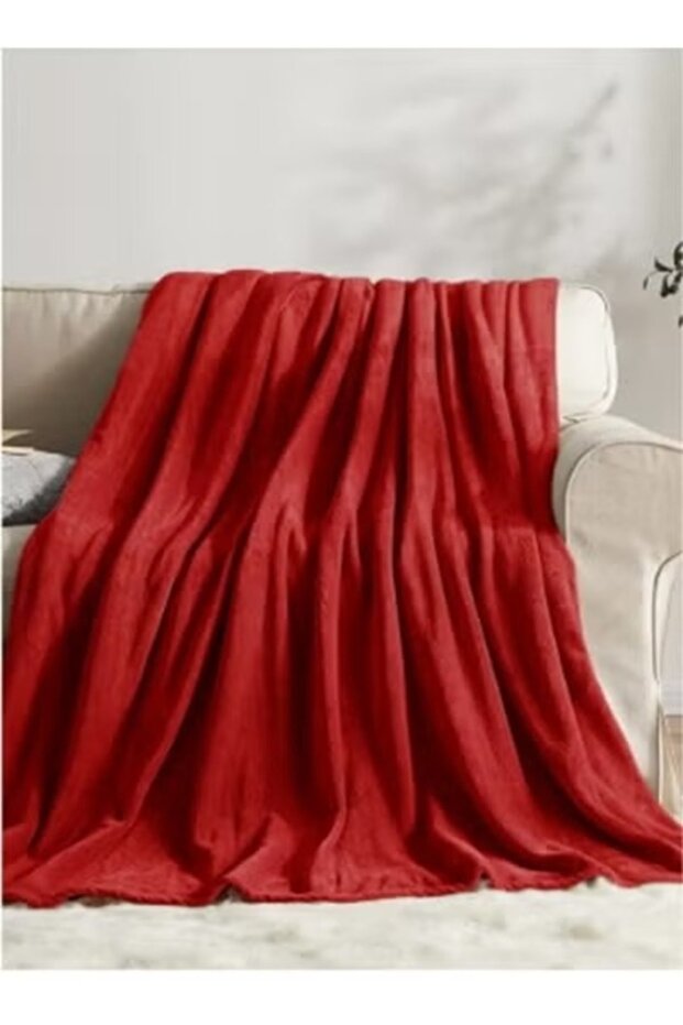 بطانية شتوية خفيفة وناعمة ودافئة بملمس حريري مريح، بطانية سرير مزدوجة 220×240 سم، 2 كجم - 2