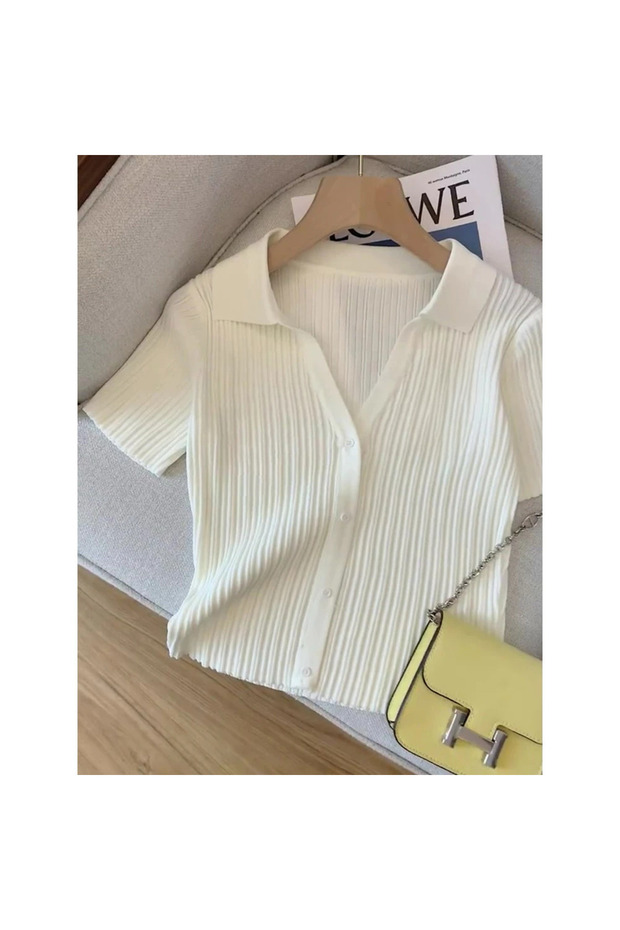Polo Neck Buttoned Self-Textured Knitwear T-Shirt