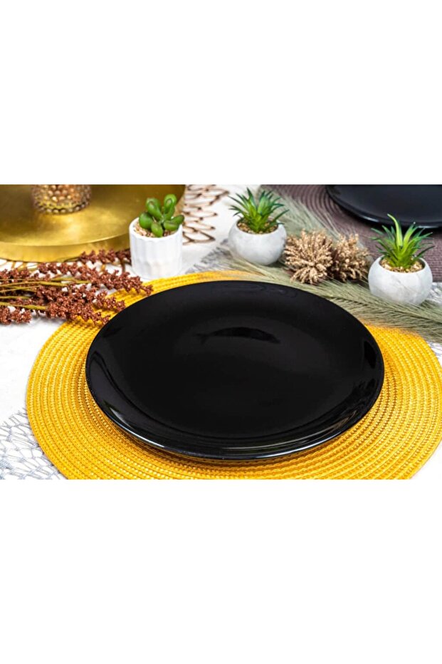 Set of 4 Dinner Plates: Versatility and Style in Glossy Black - 7