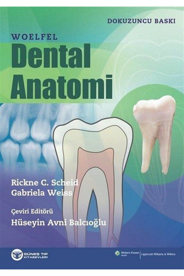 Woelfel Dental Anatomi - 1