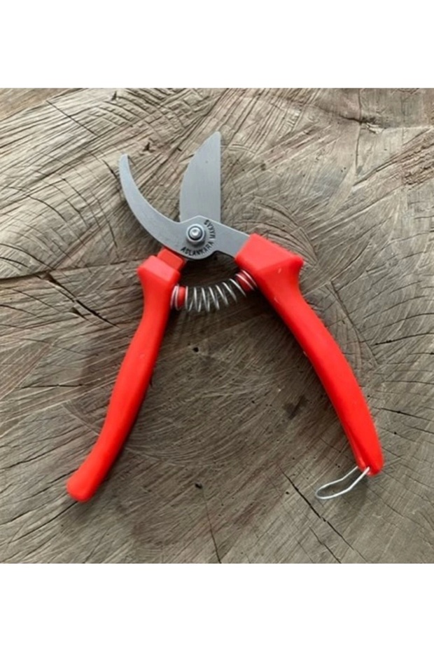 Vineyard Pruning Shears Plant Pruning Shears Handmade Scissors - 2