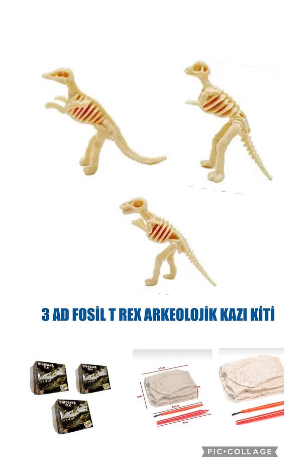 3 ADET Fosil İskelet DİNOZOR T REX KAZI OYUNU ARKEOLOJİK BİLİM SERİSİ - 1