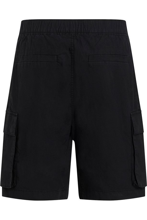 WASHED CARGO SHORT Şort - 2