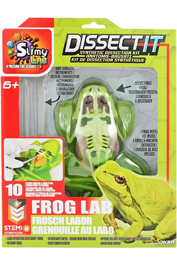 Dissect-it in giftbox - Frog, 38070
