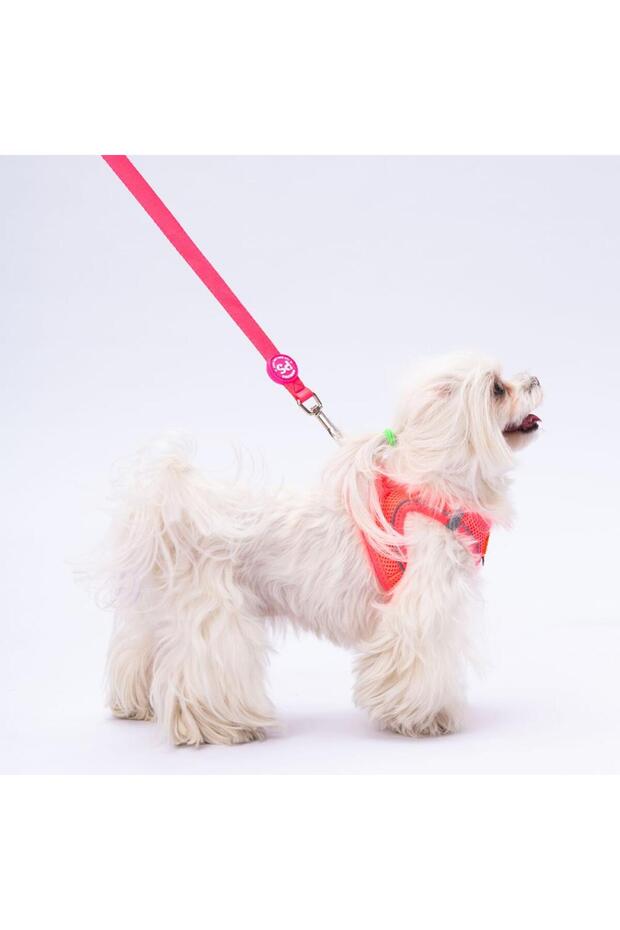 Neon Pembe Leash Kedi Köpek Sevk & Gezdirme Kayışı Köpek Uzatma Tasması - 3