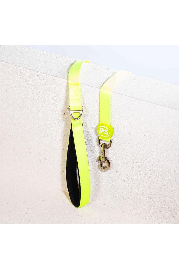 Neon Sarı Leash Kedi Köpek Sevk & Gezdirme Kayışı Köpek Uzatma Tasması - 3