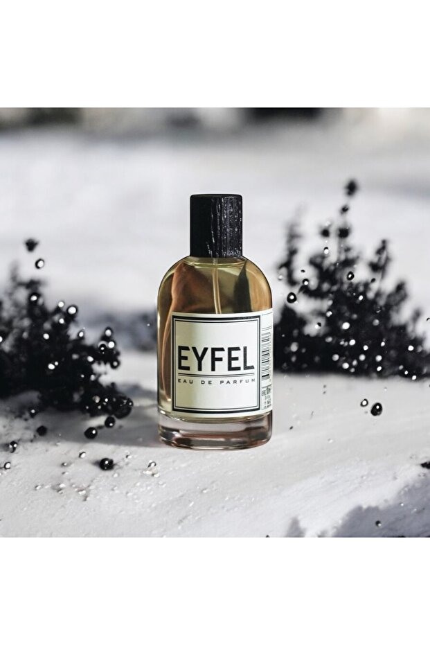 EYFEL ERKEK PARFÜM M72 100 ML - 3