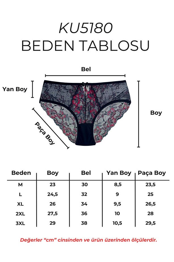 3'lü Çift Renk Dantelli Tüllü Yüksek Bel Kadın Külot - 5