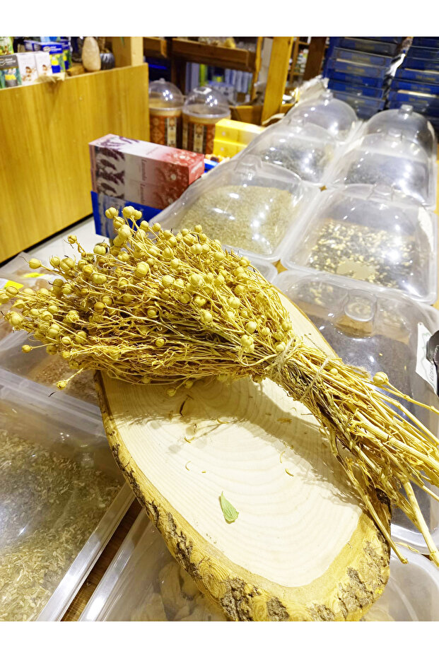 10 قطعة من حزام الاعشاب - 1