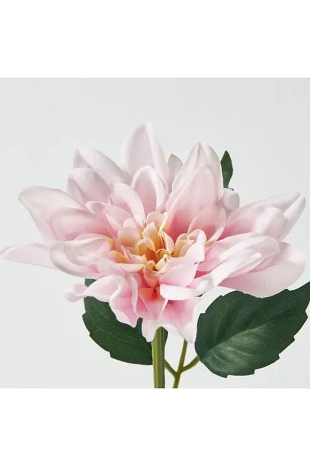 SMYCKA yapay çiçek,  pembe, 30 cm, Yıldız çiçeği, iç/dış mekan, yapay bitki, 5 ADET - 4