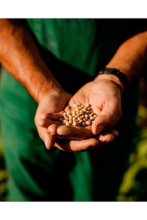 Soya Sütü 1 Lt - 2