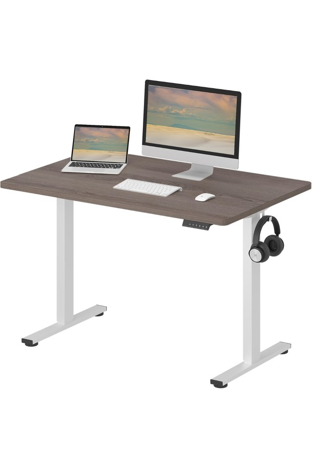 FlexiSpot Ergonomic Electric Standing Desk 120x75 cm Sturdy and Durable Desk - Grey Whiteriver Oak