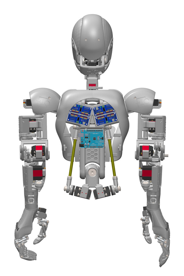 Bionic Yarım Gövde Robot - 2