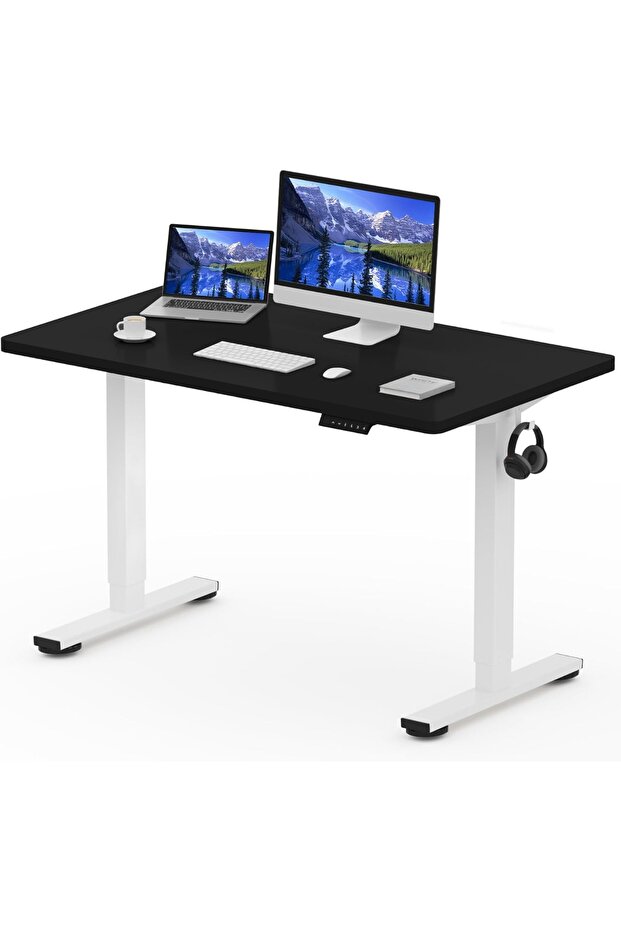 FlexiSpot Electric Standing Desk 121x60 cm with Height-Adjustable Spacious Desk - Charcoal Black