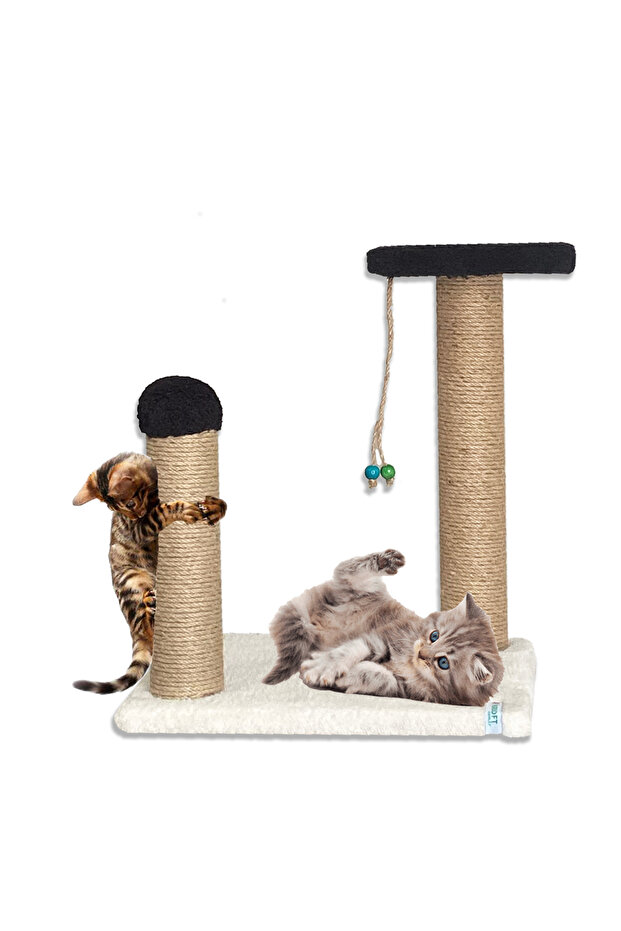 حقل لعب للخدش والسائر للقطط - تأثير القطط - 1