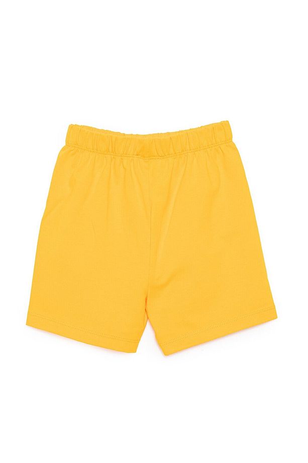 HelloBaby Basic Unisex  Şort Unisex - 2