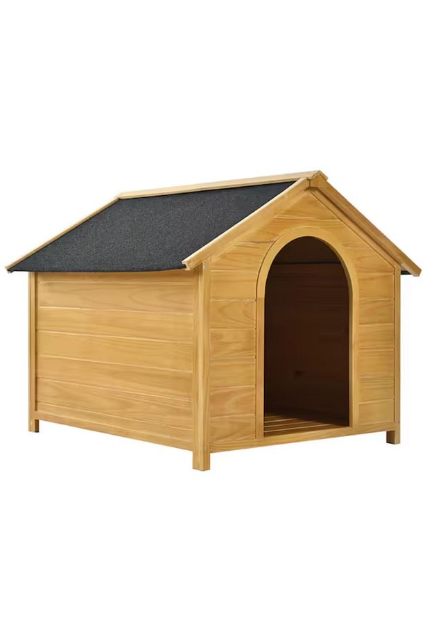 Köpek Kulübesi - 1