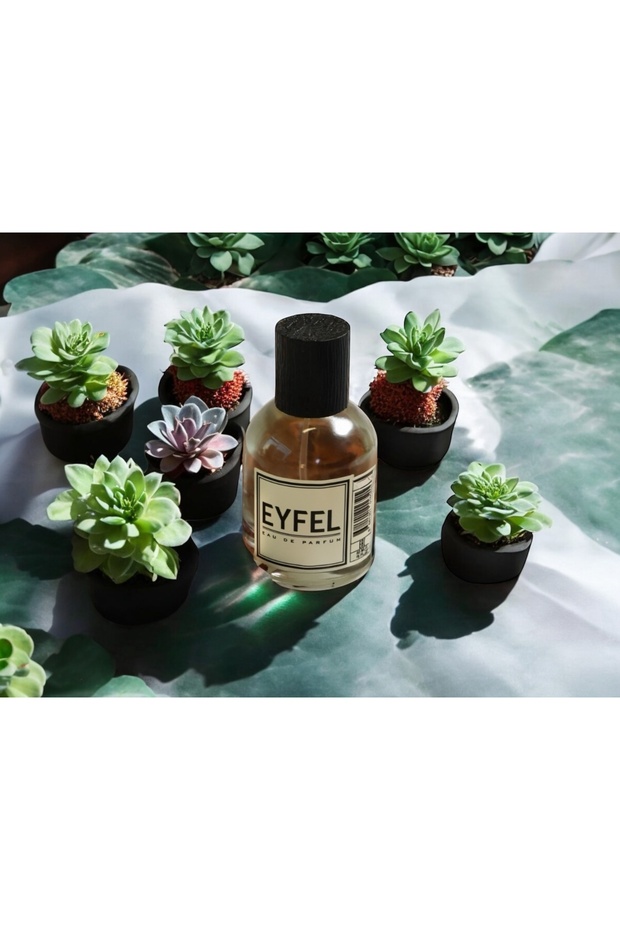Eyfel Erkek Parfüm M28 50 ML EDP 12850502828 - 8