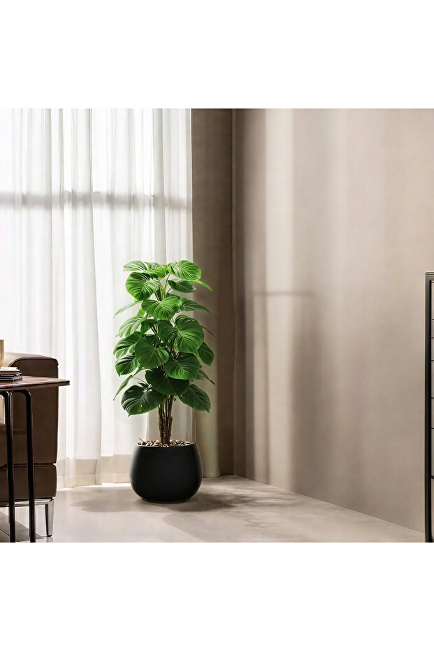 شجرة ألوكاسيا اصطناعية - سوداء - 1
