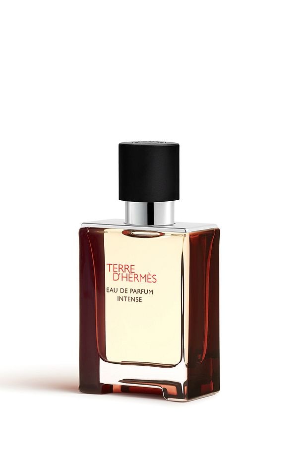 Hermés Terre D'Hermès EDP Intense 50 Ml Erkek Parfüm - 2