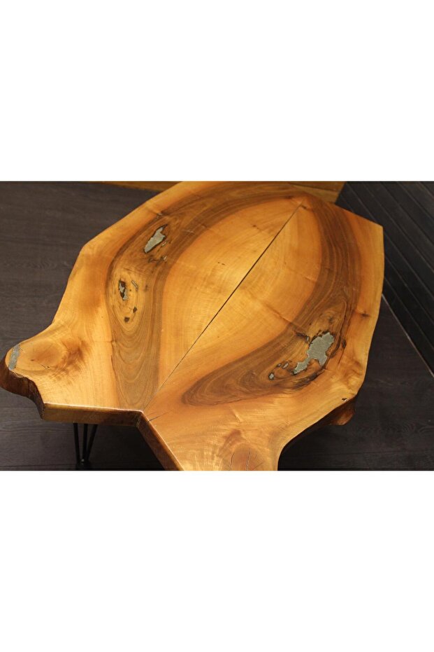 Ceviz Ağacı Zigon Orta Sehap - 2