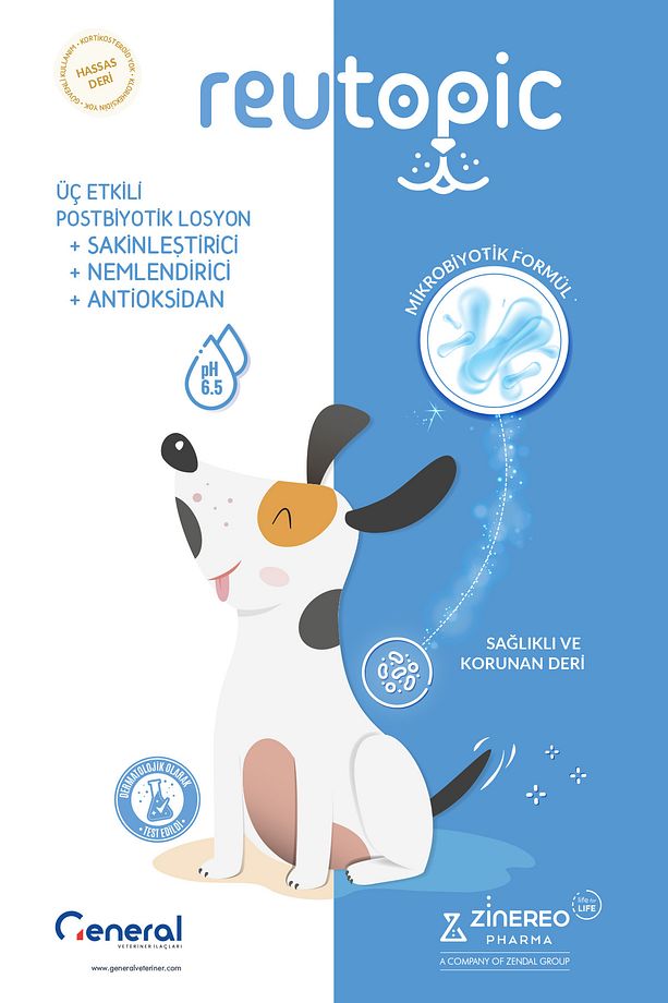 Köpekler İçin 100 ml Reutopic Dermatit Losyon - 2