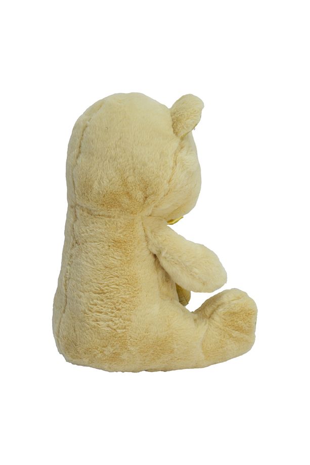 40 Cm Parlak Kumaş Kalp Tutan Ayıcık 78801 - 2