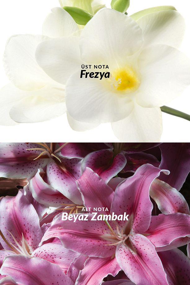 Lily Soft Musk Edt 50 ml Kadın Parfümü 5050136740696 - 3