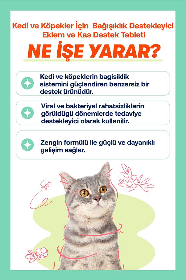 Yavru Kediler İçin Bağışıklık ve Genel Sağlık Destek Seti – Kitten Paste 100g + Immune+C 75 Tablet - 3
