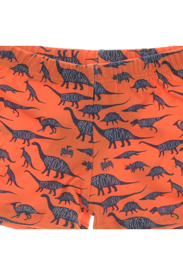 Erkek Çocuk 181-sm18120036 Diplodocus Trunk - 3