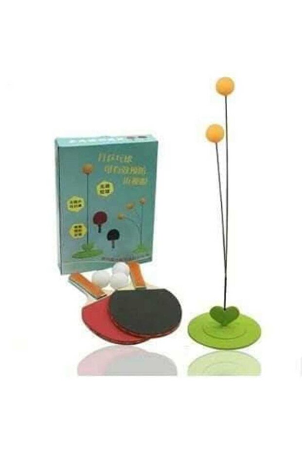 Table tennis (ping pong) training device - 2