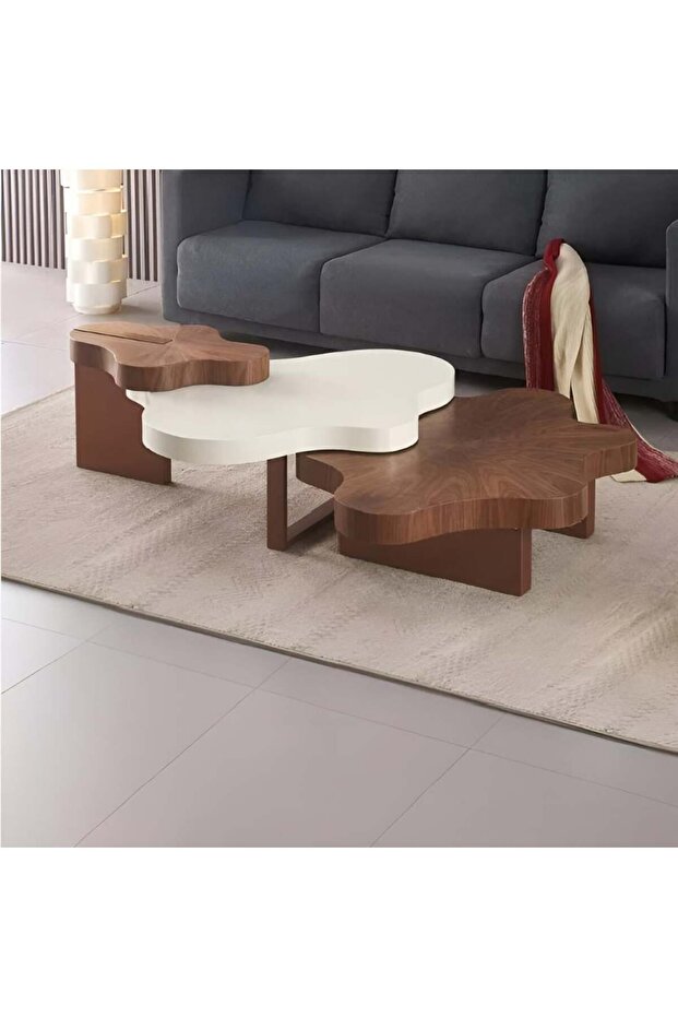 Nested coffee table set - 1