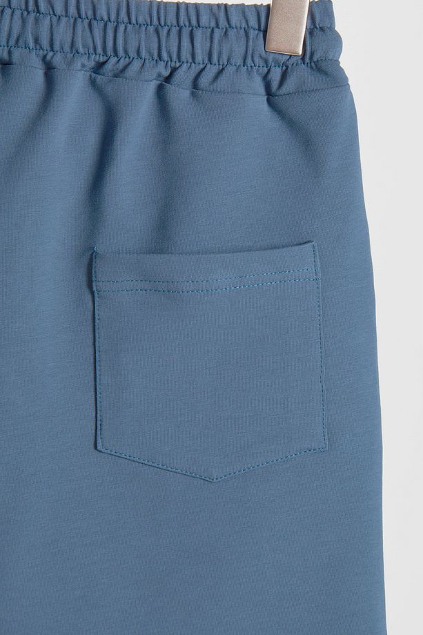 Erkek  Basic Pastel Mavi Regular Fit Şort & Bermuda - 4