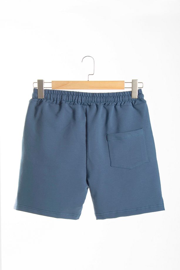 Erkek  Basic Pastel Mavi Regular Fit Şort & Bermuda - 5