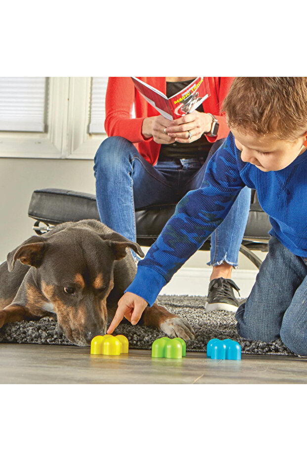 Dog Training Set - Magic Tricks - 4