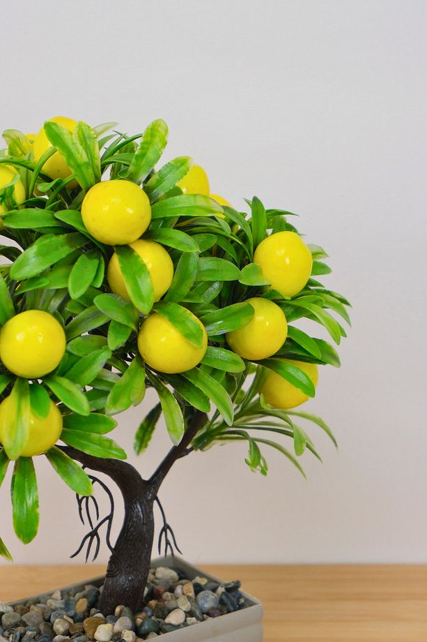 Dekoratif Saksılı Yapay Limon Ağacı EVA-5638 C1-1-423 - 3